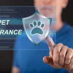 Pet Insurance Tips and Advice