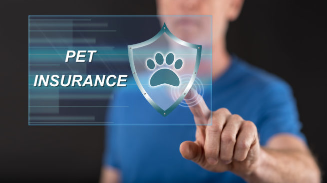 Pet Insurance Tips and Advice