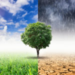 The Impact of Climate Change on Insurance
